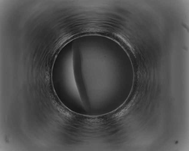 X0000091711025200709071408