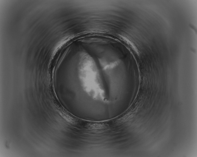 X0000091711027200709071408