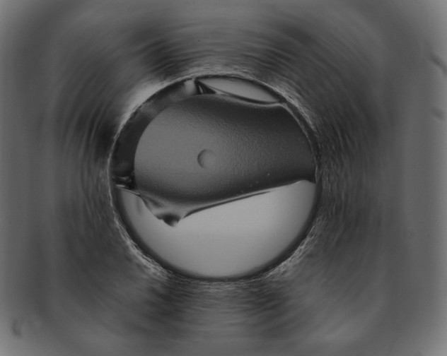 X0000091711030200709071408