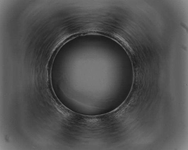 X0000091711031200709071408