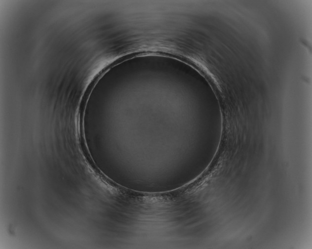 X0000091711032200709071408