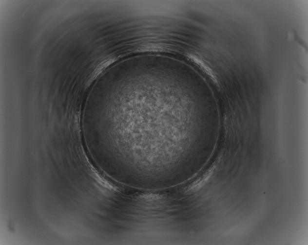 X0000091711033200709071408