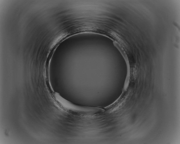 X0000091711034200709071408