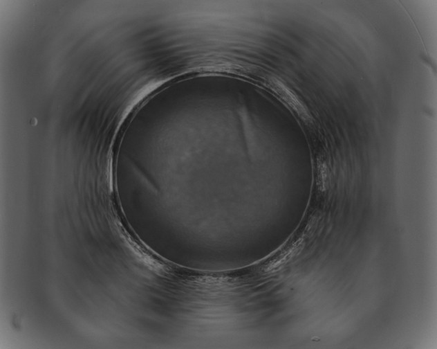 X0000091711036200709071408