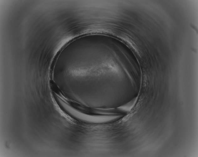 X0000091711038200709071408