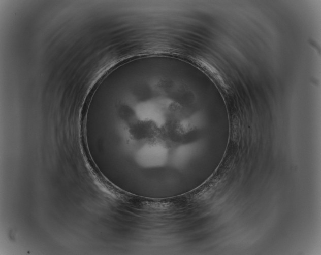 X0000091711039200709071408