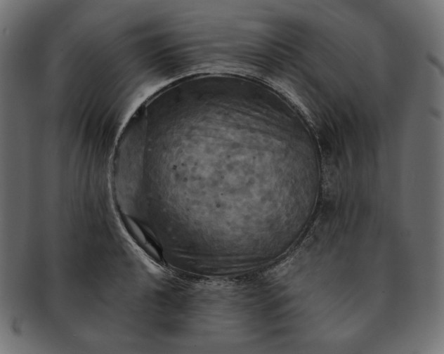 X0000091711040200709071408