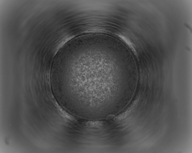 X0000091711041200709071408