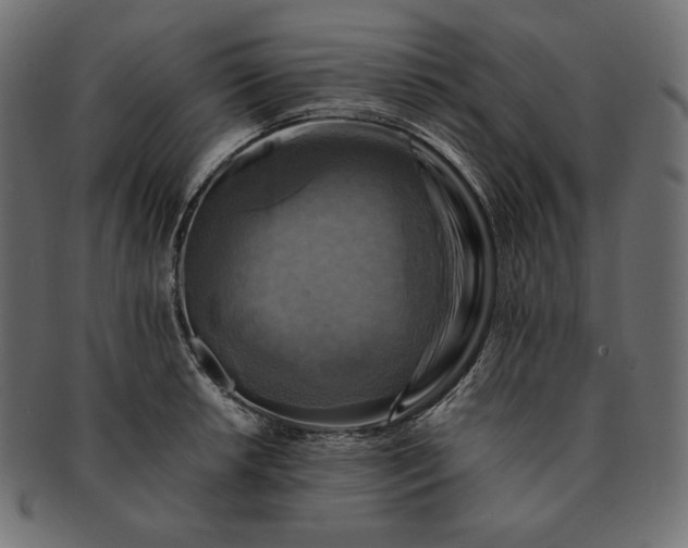 X0000091711042200709071408