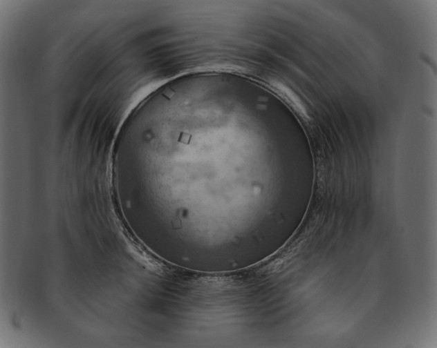 X0000091711044200709071408