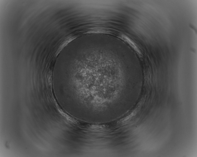 X0000091711049200709071408