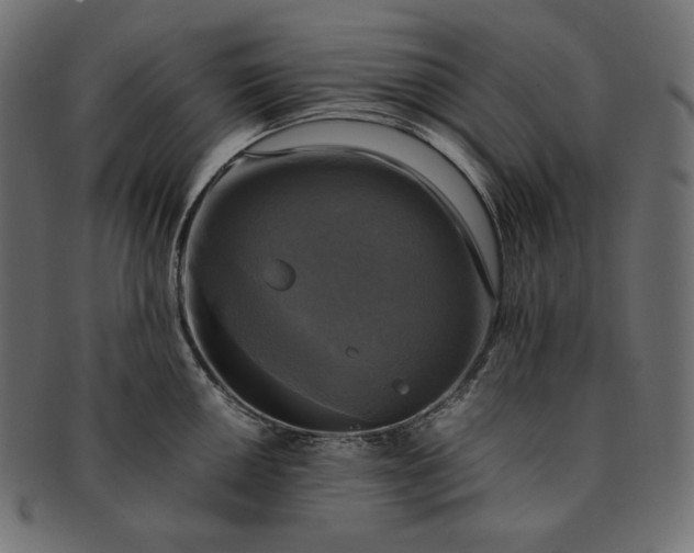 X0000091711050200709071408