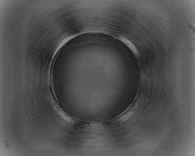 X0000091711052200709071408