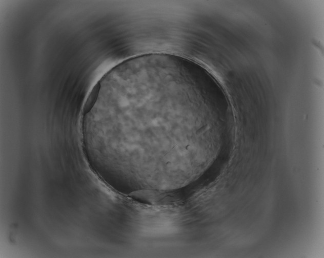 X0000091711056200709071408