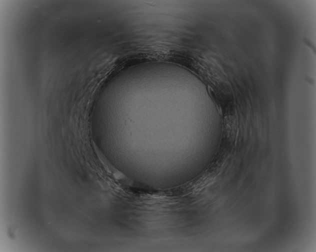 X0000091711057200709071407