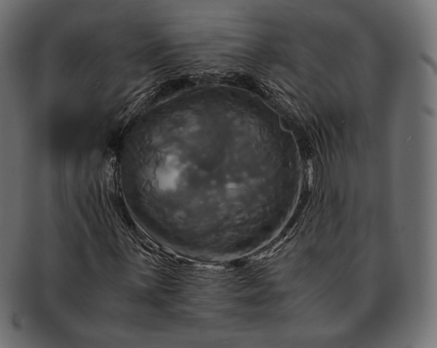 X0000091711059200709071407