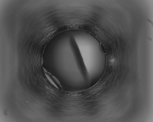 X0000091711060200709071407