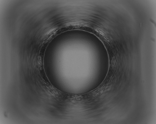 X0000091711062200709071407