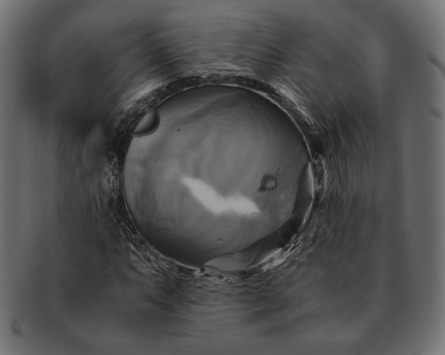 X0000091711063200709071407