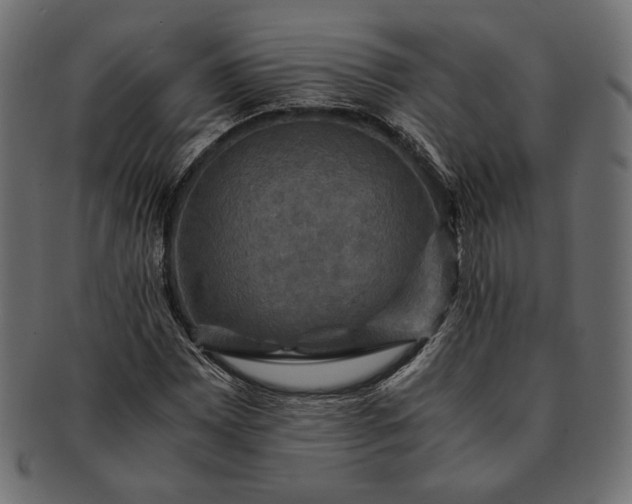 X0000091711065200709071407