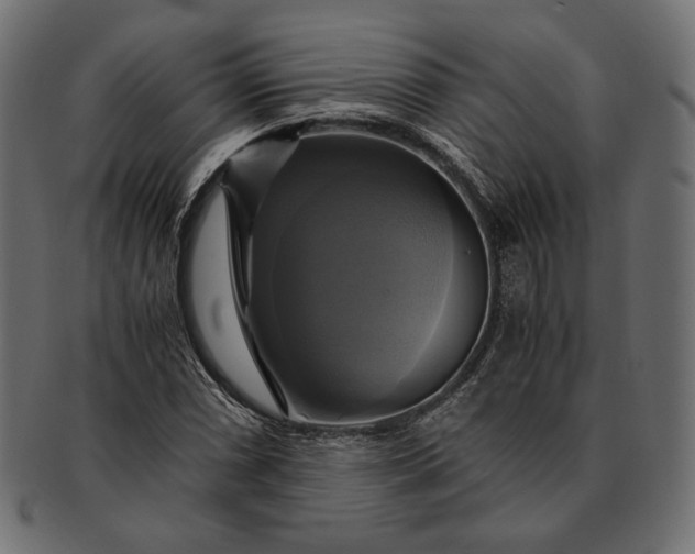 X0000091711066200709071407