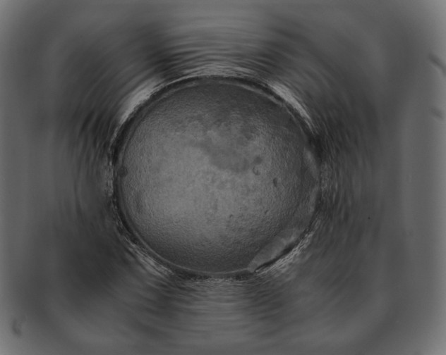 X0000091711067200709071407