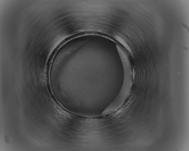 X0000091711068200709071407