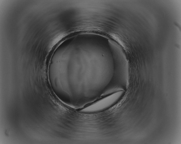 X0000091711071200709071407