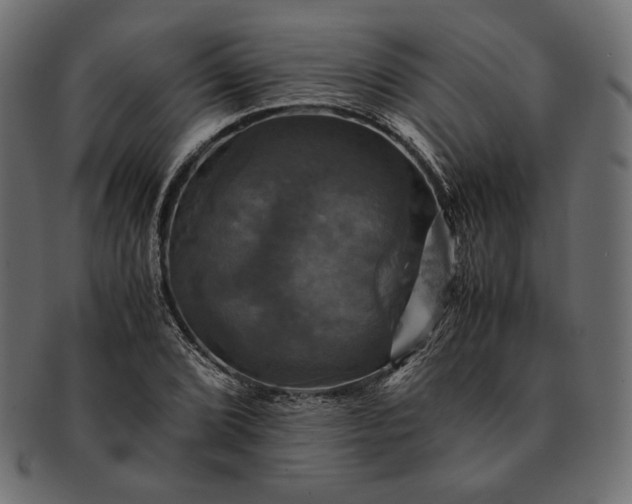 X0000091711072200709071407