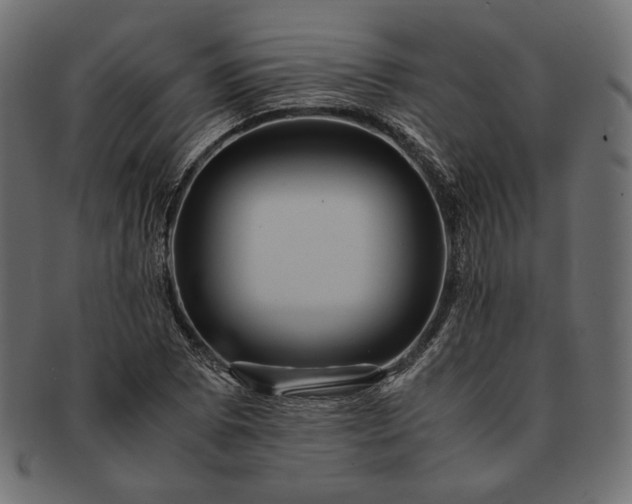 X0000091711073200709071407