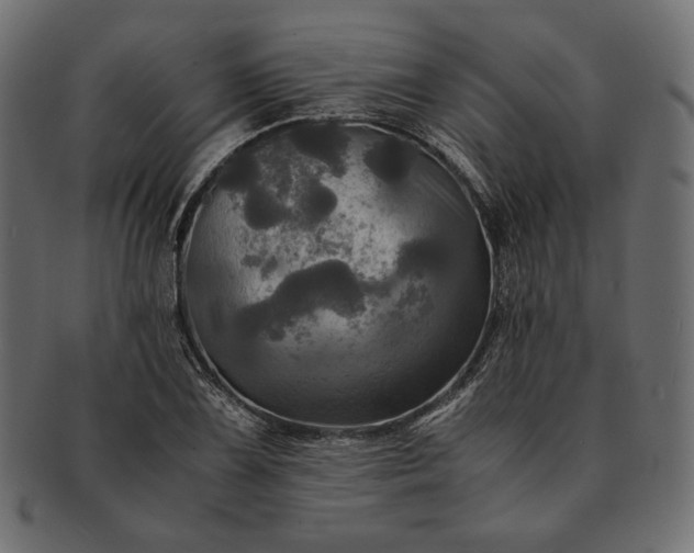 X0000091711075200709071407