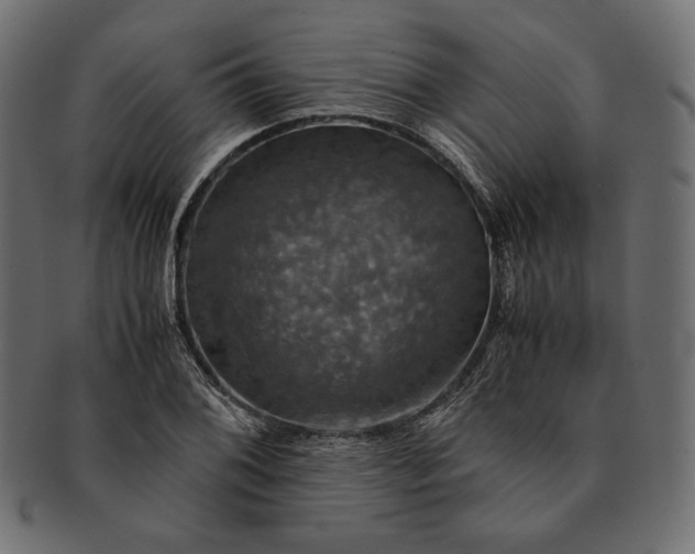 X0000091711076200709071407