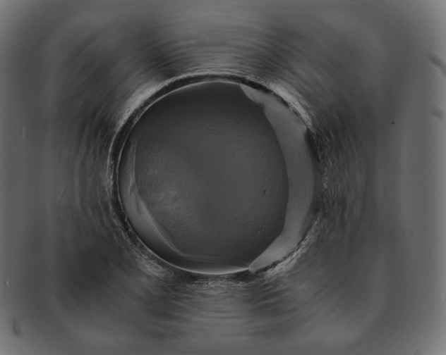 X0000091711077200709071407