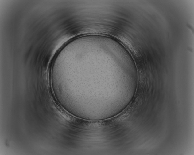 X0000091711078200709071407