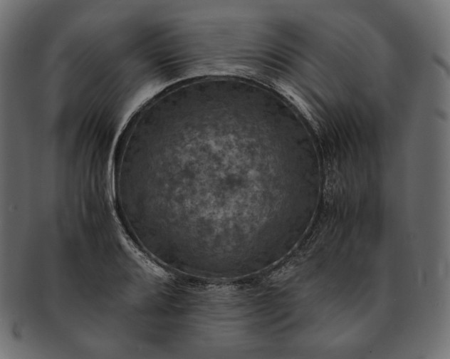 X0000091711080200709071407