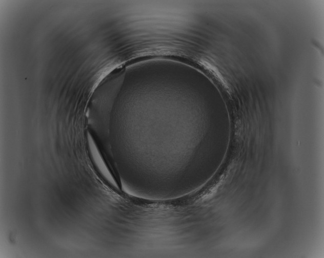 X0000091711081200709071407