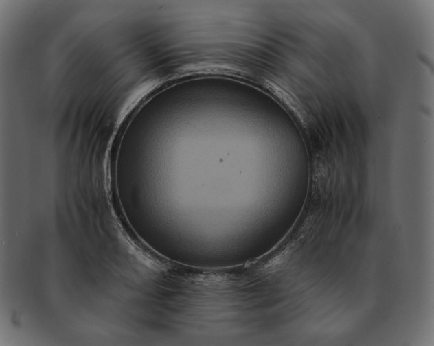 X0000091711082200709071407