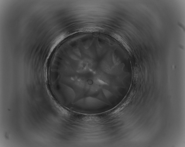 X0000091711083200709071407