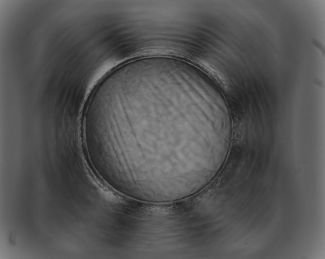 X0000091711086200709071407