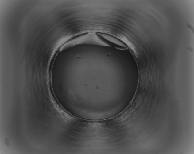 X0000091711088200709071407