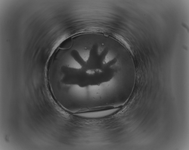 X0000091711091200709071407