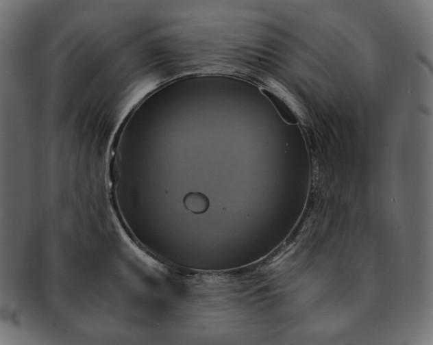 X0000091711095200709071407