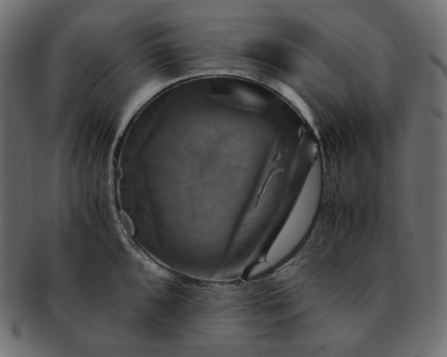 X0000091711096200709071407