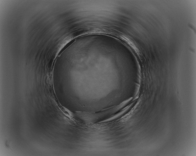 X0000091711097200709071407