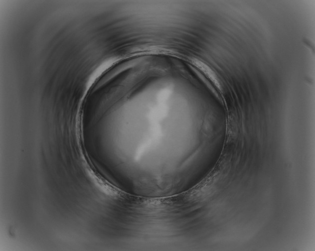 X0000091711098200709071407