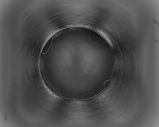 X0000091711100200709071407