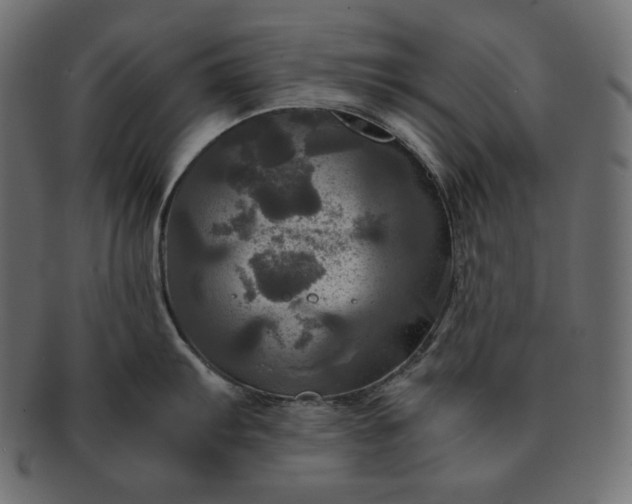 X0000091711103200709071407