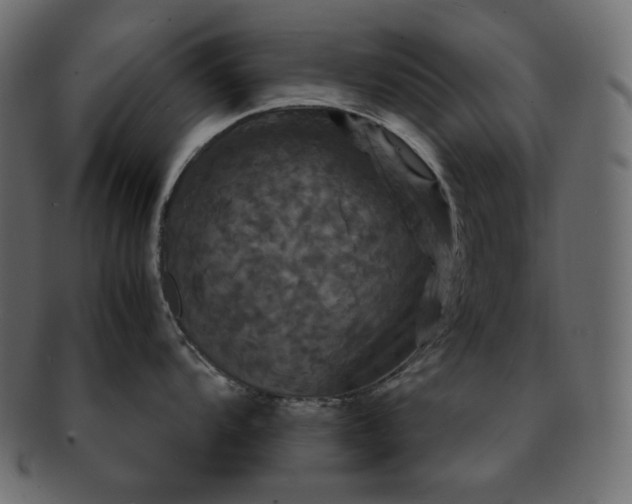 X0000091711104200709071407