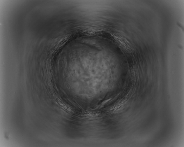 X0000091711105200709071406