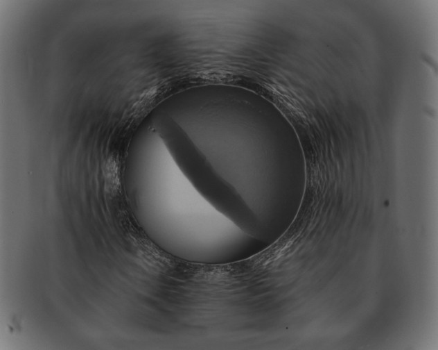 X0000091711106200709071406